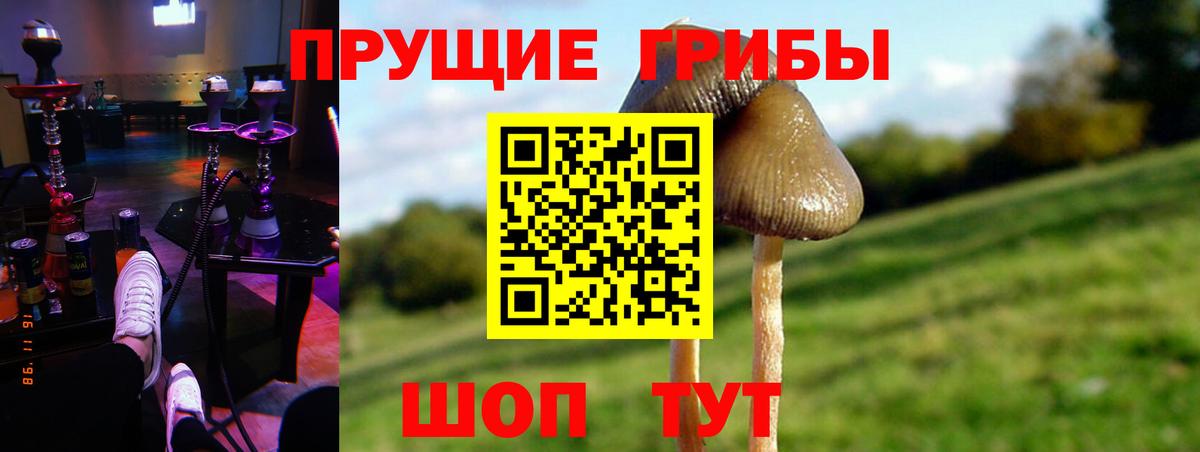 Можайск  Псилоцибиновые грибы Psilocybine cubensis  Вход с VPN  что такое наркотик  Псилоцибиновые грибы мухоморы 